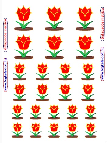 Ovis matrica tulipán ovis jel